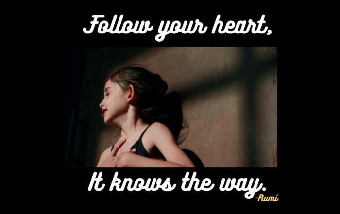 Follow your heart, it knows the way. -Rumi Mohammad