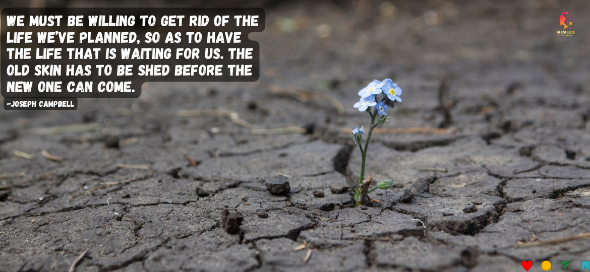 From Plans to Possibilities: Embracing the Unexpected Journey. We must be willing to get rid of the life we’ve planned, so as to have the life that is waiting for us. The old skin has to be shed before the new one can come. -Joseph Campbell