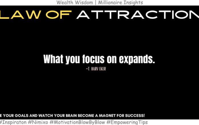 Unleash Your Wealth Magnet: Focus Your Way to Riches! What you focus on expands. -T. Harv Eker