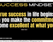 How to Achieve Excellence in Anything You Do? Your true success in life begins only when you make the commitment to become excellent at what you do. -Brian Tracy